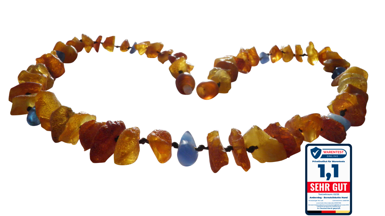 Hunde Bernsteinkette Blauquarz - TierVita