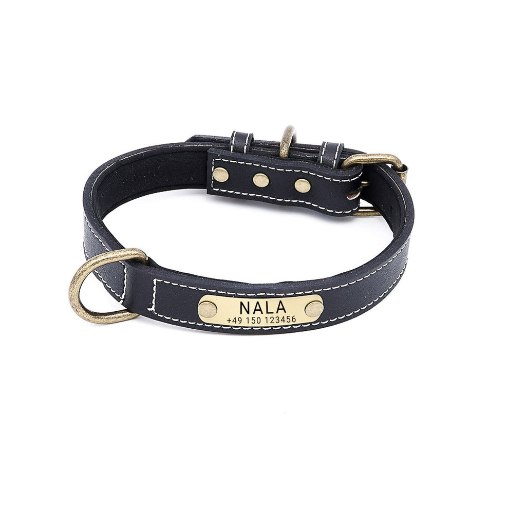 Hundehalsband mit Namen auf Messingschild aus hochwertigem Leder, Innenpolsterung aus Neopren, 2 massive D-Ringe
