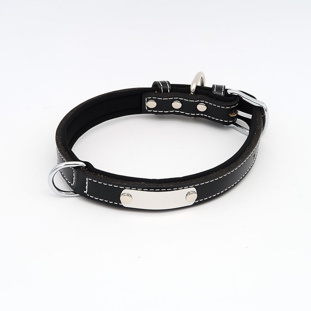 Hundehalsband mit Namen aus hochwertigem Leder, Innenpolsterung aus Neopren, 2 massive D-Ringe