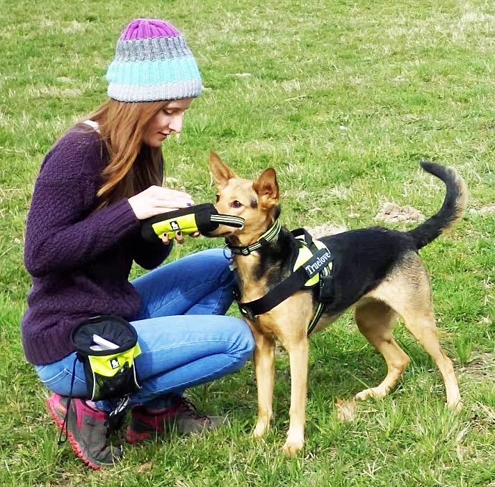 Truelove Leckerli-Beutel Snack Dummy Neongelb – S bis XL, Reißverschluss, robust