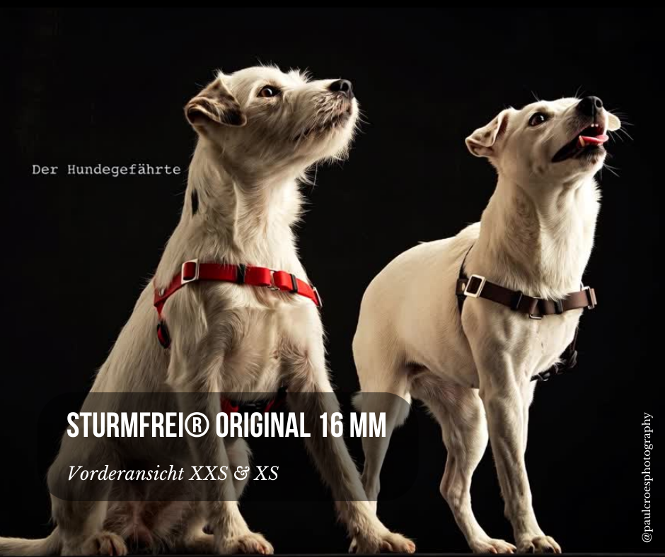 Anti-Stress-Geschirr STURMFREI®, Größe XXS