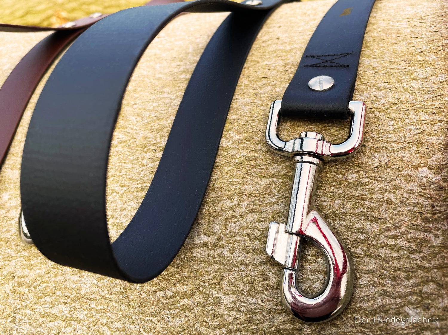 Hundeleine UM'S ECK (1,50 m) aus BioThane®/POP - Band