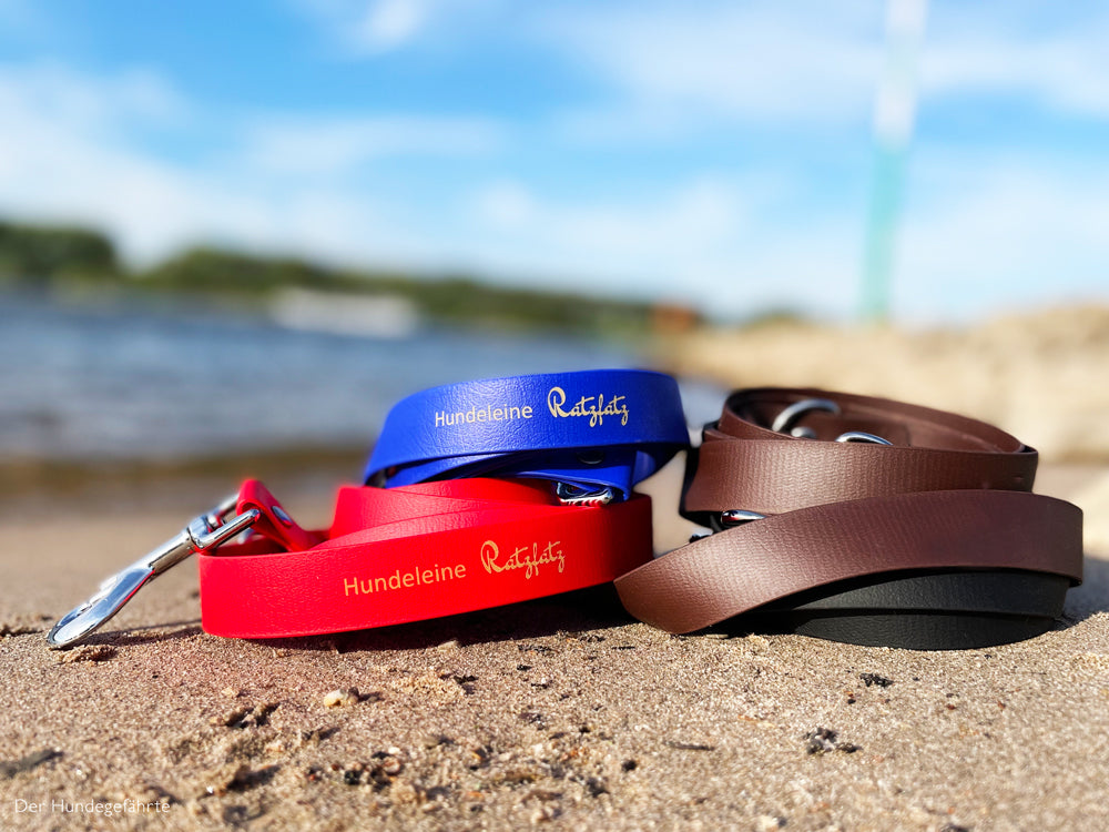 Hundeleine RATZFATZ aus BioThane®/POP - Band