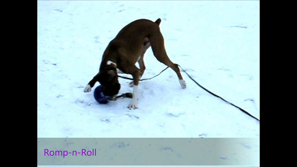 Jolly Romp-n-Roll Violett M (15 cm)