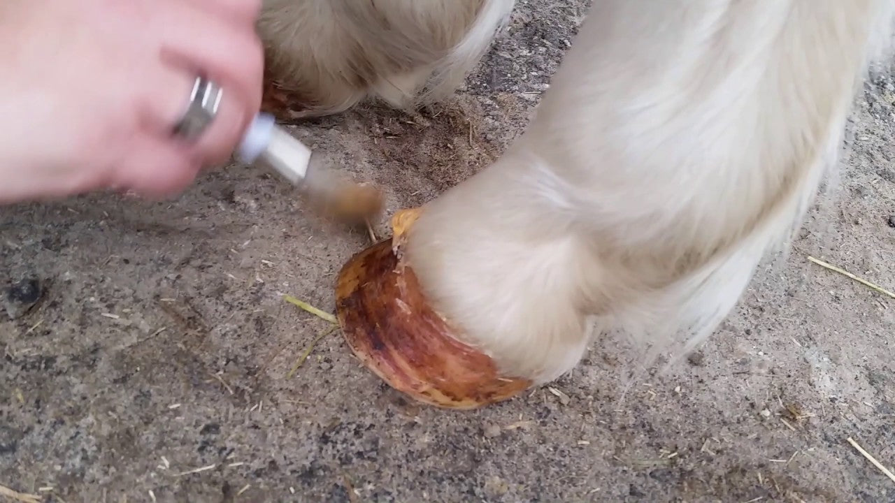 Excellent Horse Hoof Oil Gel – Hufpflegegel für Pferde, 400 g