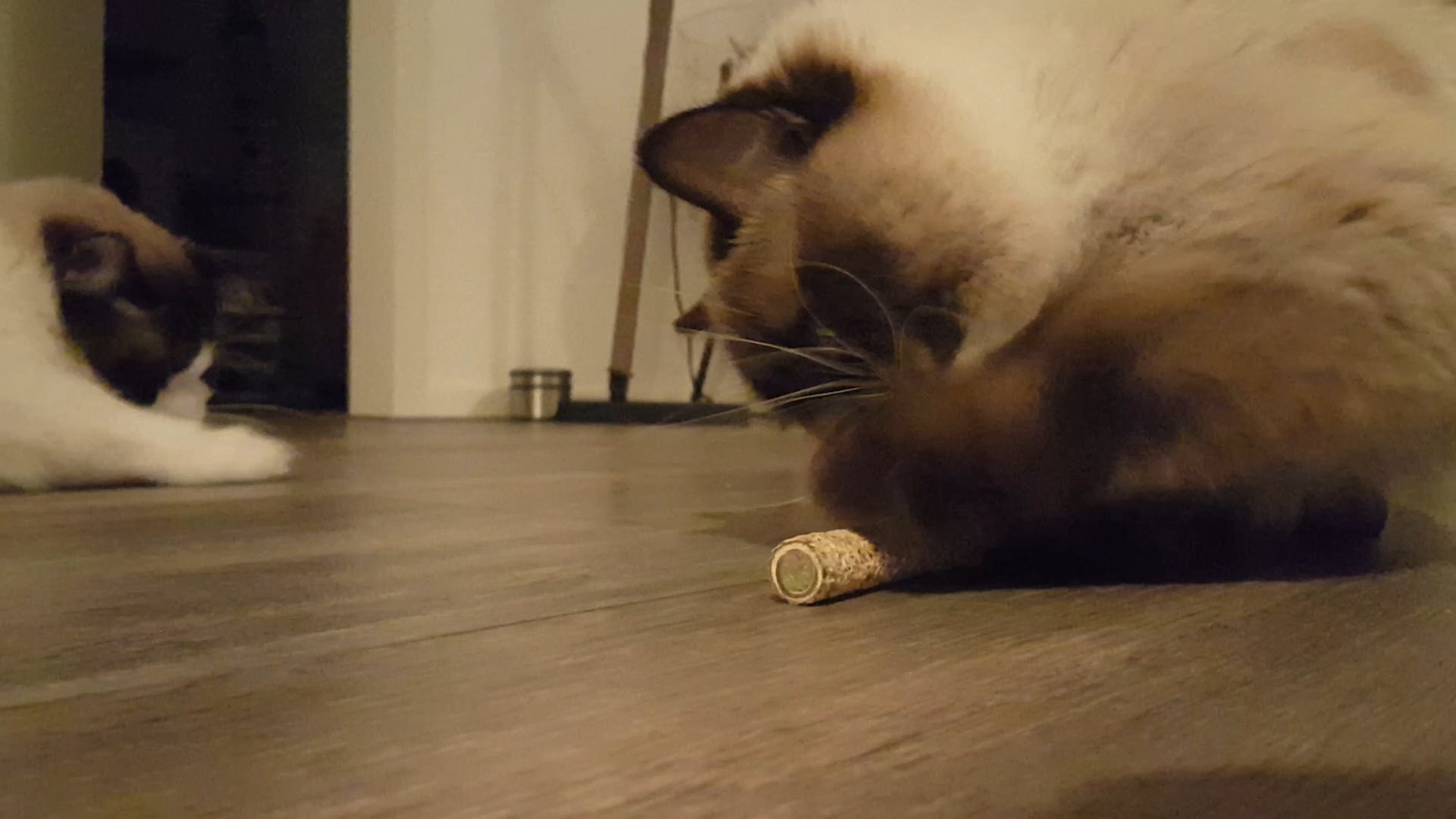 Addicted! Stick (2-Pack)