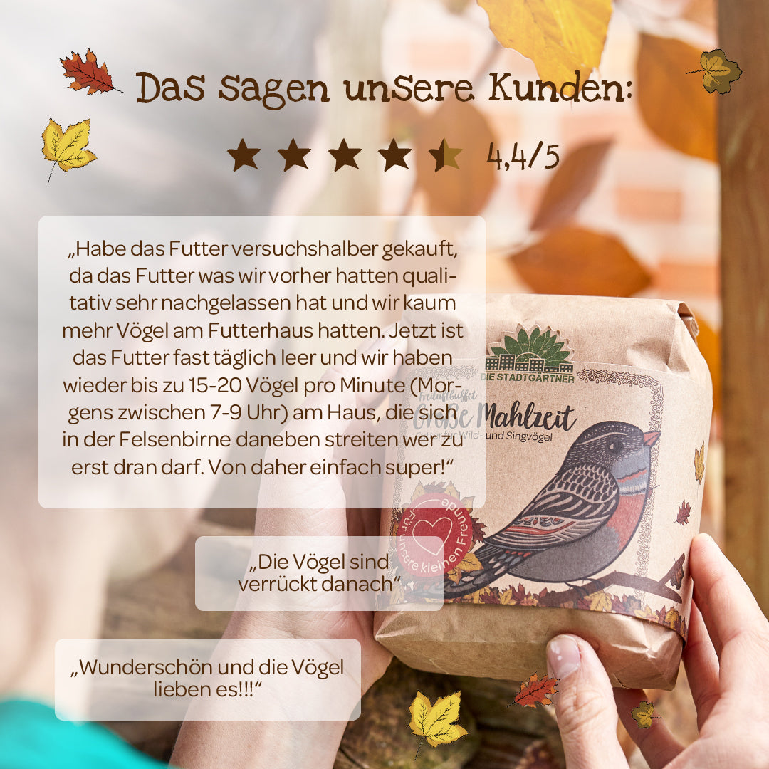 Große Mahlzeit – 1 L Vogelfutter - TierVita