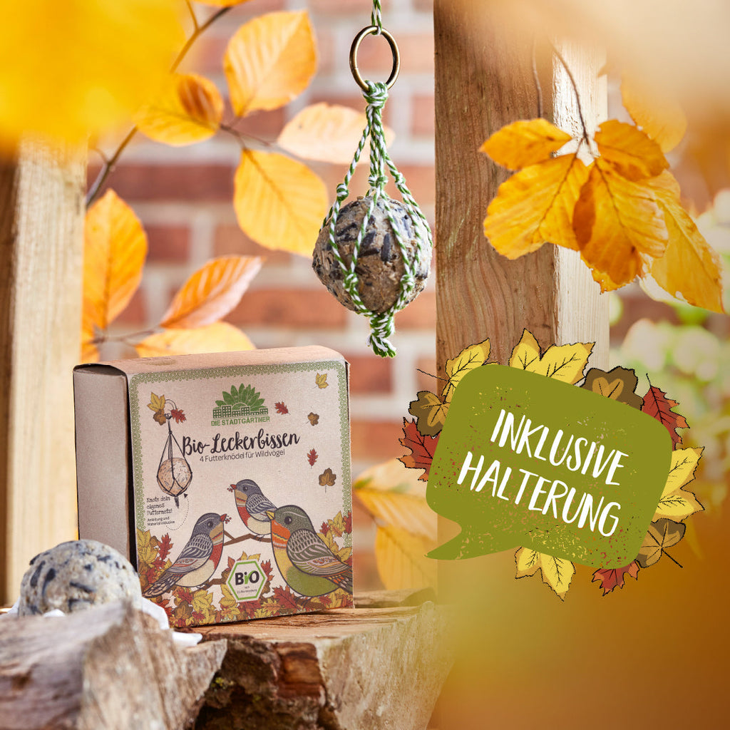 4 BIO-Leckerbissen – Futterknödel - TierVita