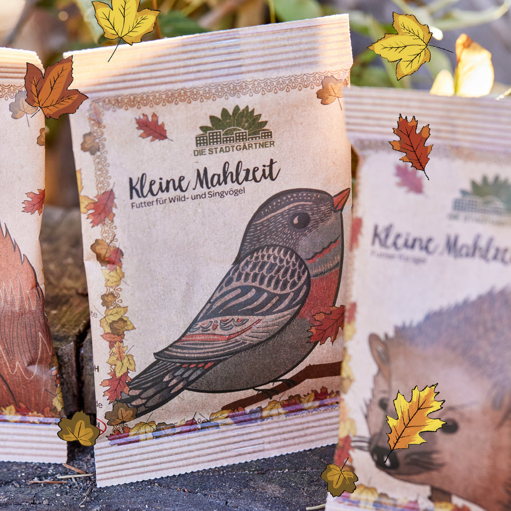 Kleine Mahlzeit – Vogelfutter - TierVita