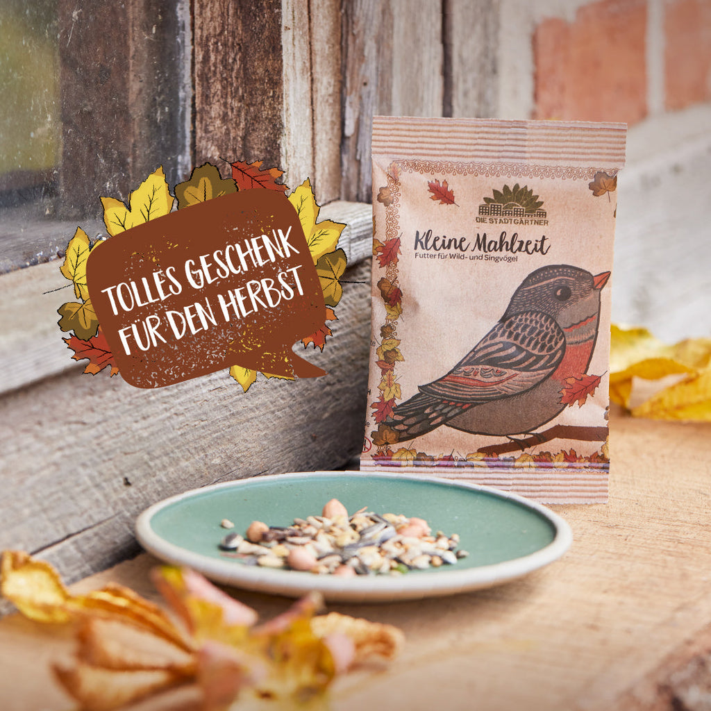 Kleine Mahlzeit – Vogelfutter - TierVita