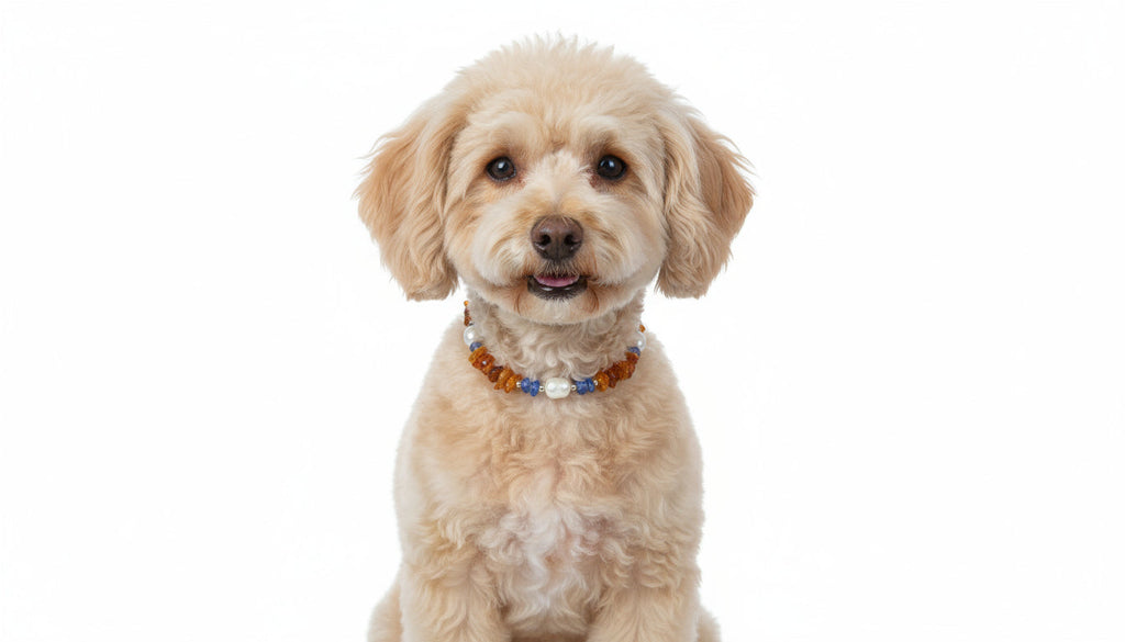 Bernsteinkette Hund mit Blauquarz und Muscheln Länge 22cm - TierVita