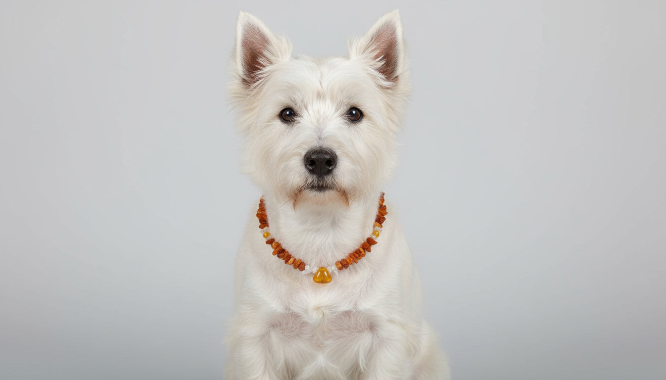 Hunde Bernsteinkette mit Jade Länge 33cm - TierVita