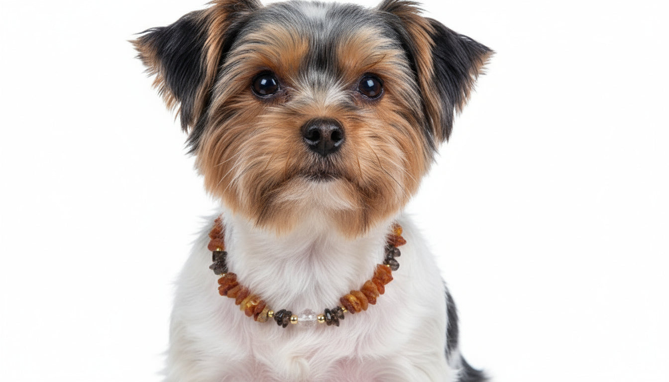 Bernsteinkette Hund mit Rauchquarz Länge 30cm - TierVita