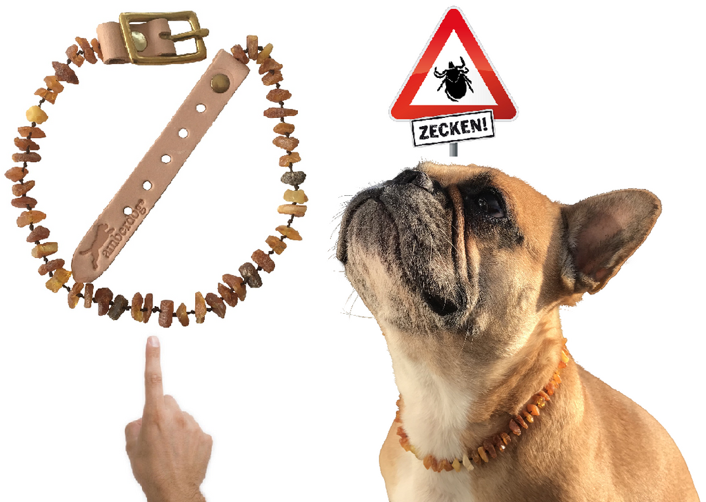 Hunde Bernsteinkette SuperFlex - TierVita