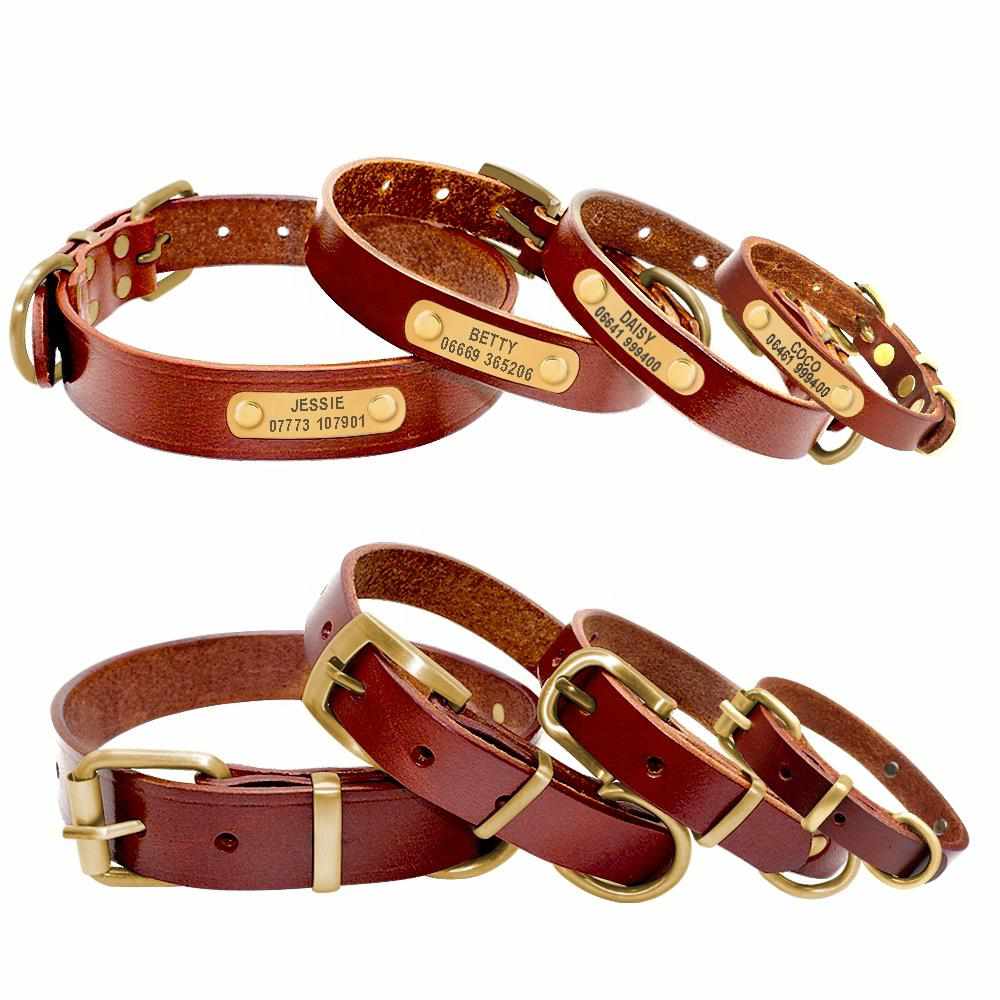 Leder Hundehalsband mit goldfarbener Marke, Gravur Name und Telefon