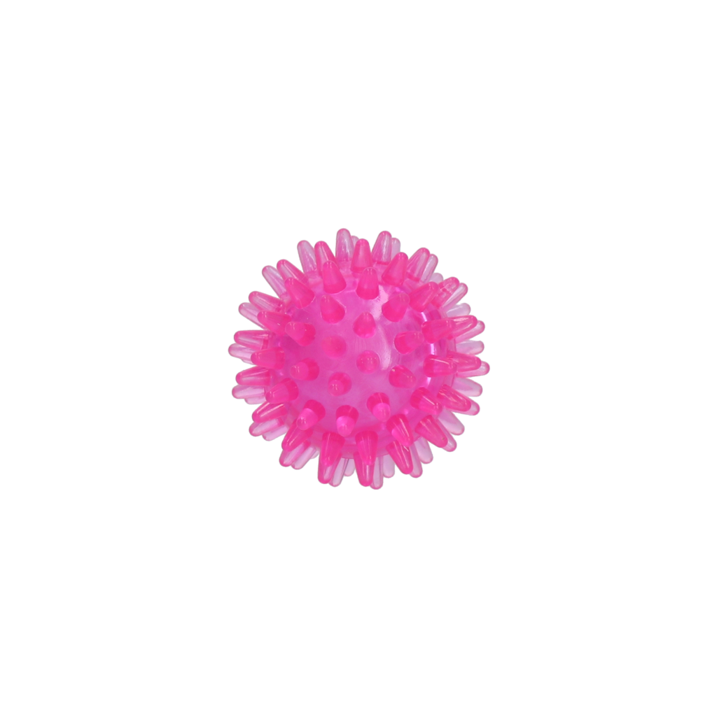 Dog Comets Exoplanet Igelball S Rosa