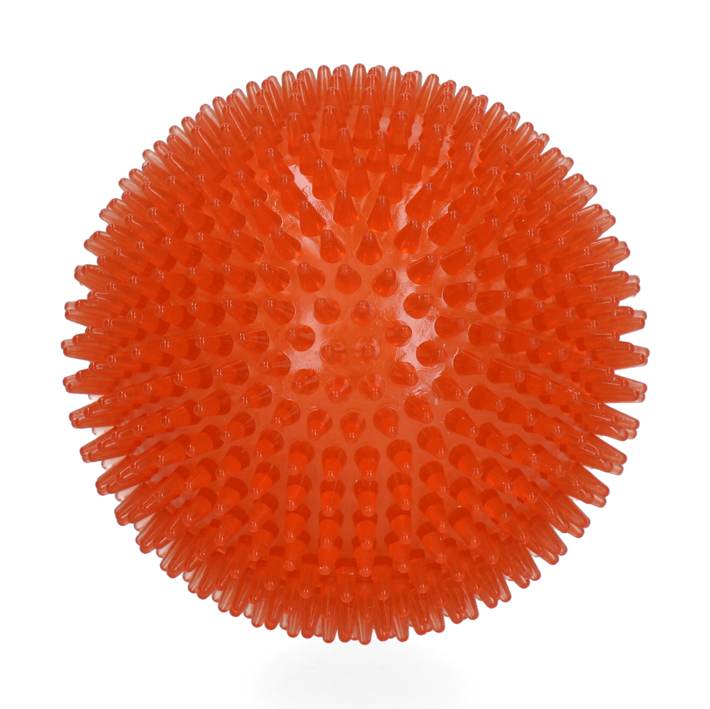 Dog Comets Exoplanet Igelball L Orange