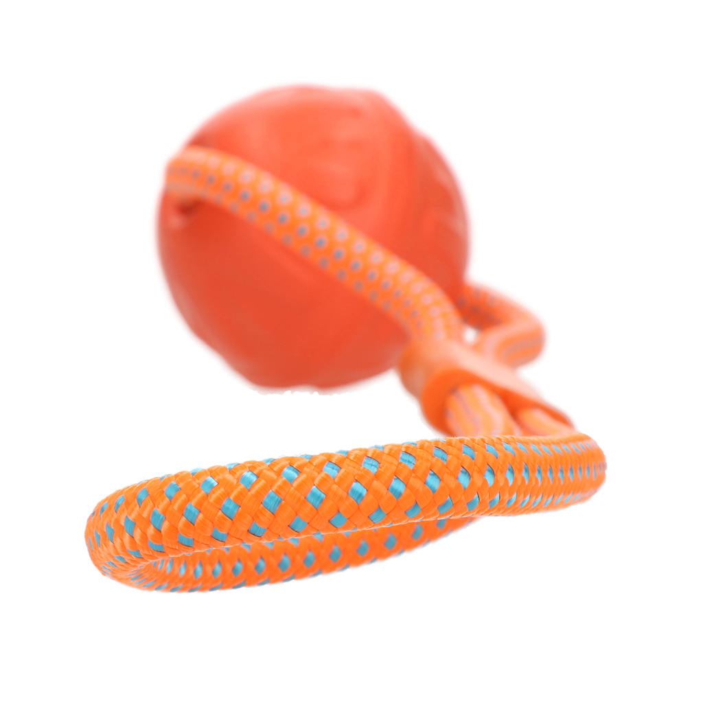 Dog Comets Vortex Loop Orange