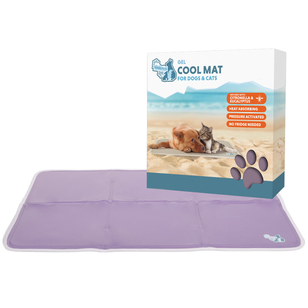 Kühlmatte Hund L 60×90 cm – CoolPets Premium Gel mit Citronella & Eukalyptus