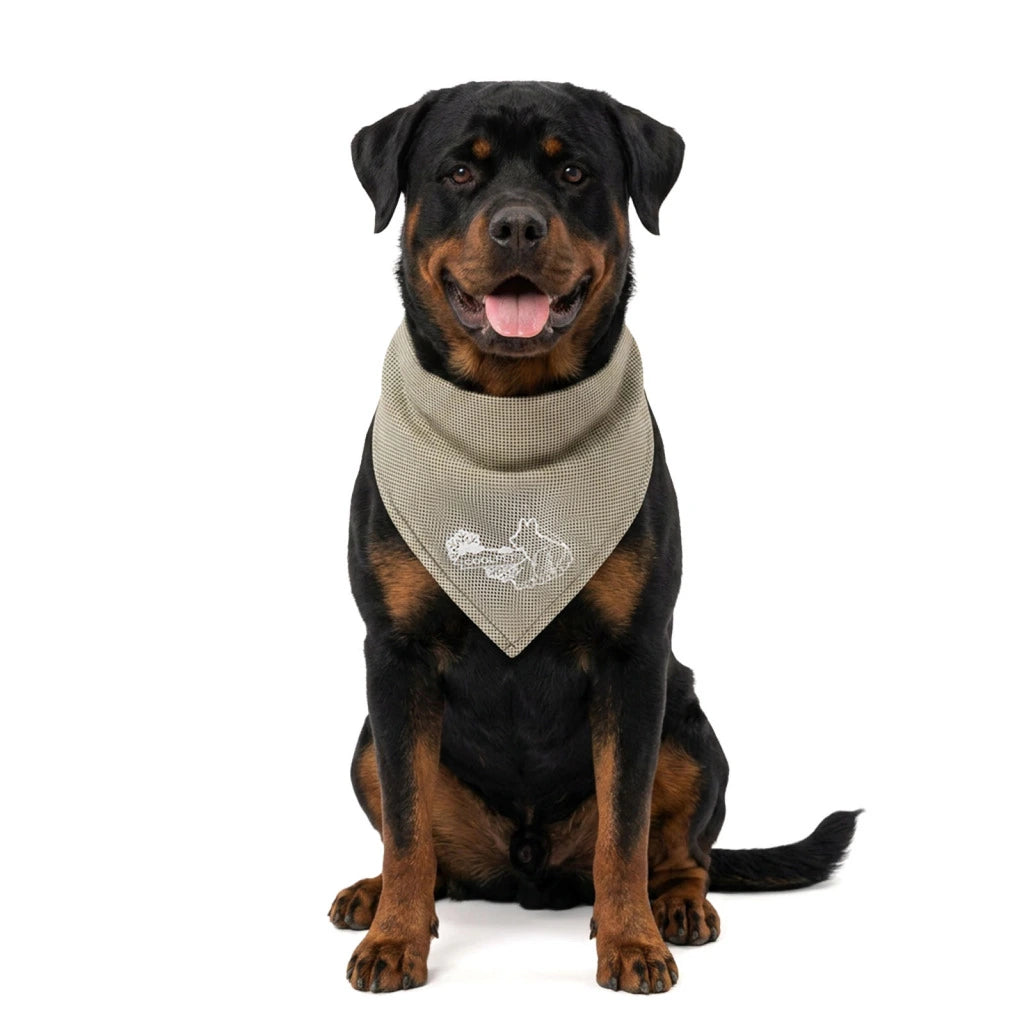 CoolPets Cooling Bandana – Kühlende Hundebandana | Sofort kühlend | S, M, L