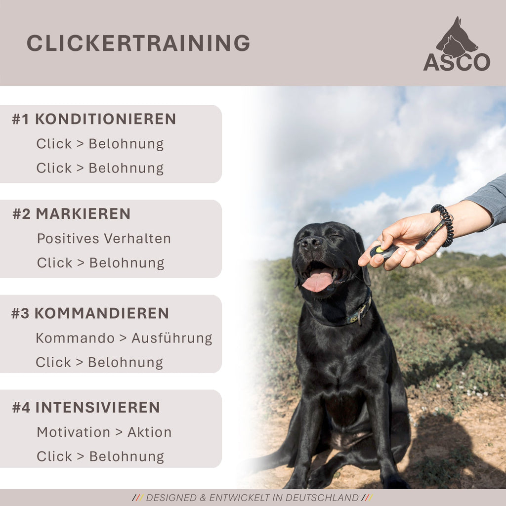 ASCO Target Stick - Target Stab für Hunde Katzen Targettraining - Targetstick ausziehbar mit Softball - Edelstahl Targetstab mit Teleskopfunktion - TierVita