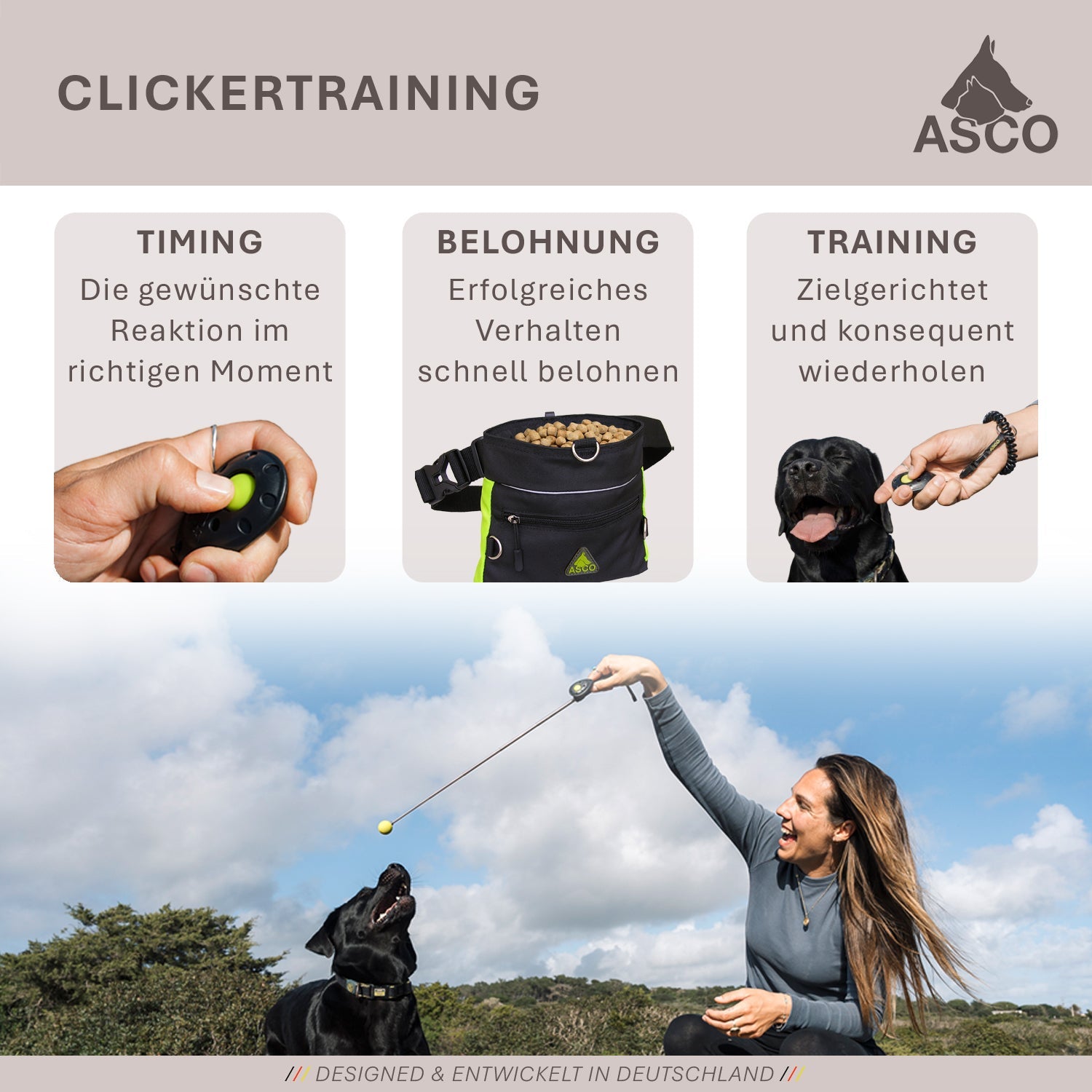 ASCO Target Stick - Target Stab für Hunde Katzen Targettraining - Targetstick ausziehbar mit Softball - Edelstahl Targetstab mit Teleskopfunktion - TierVita