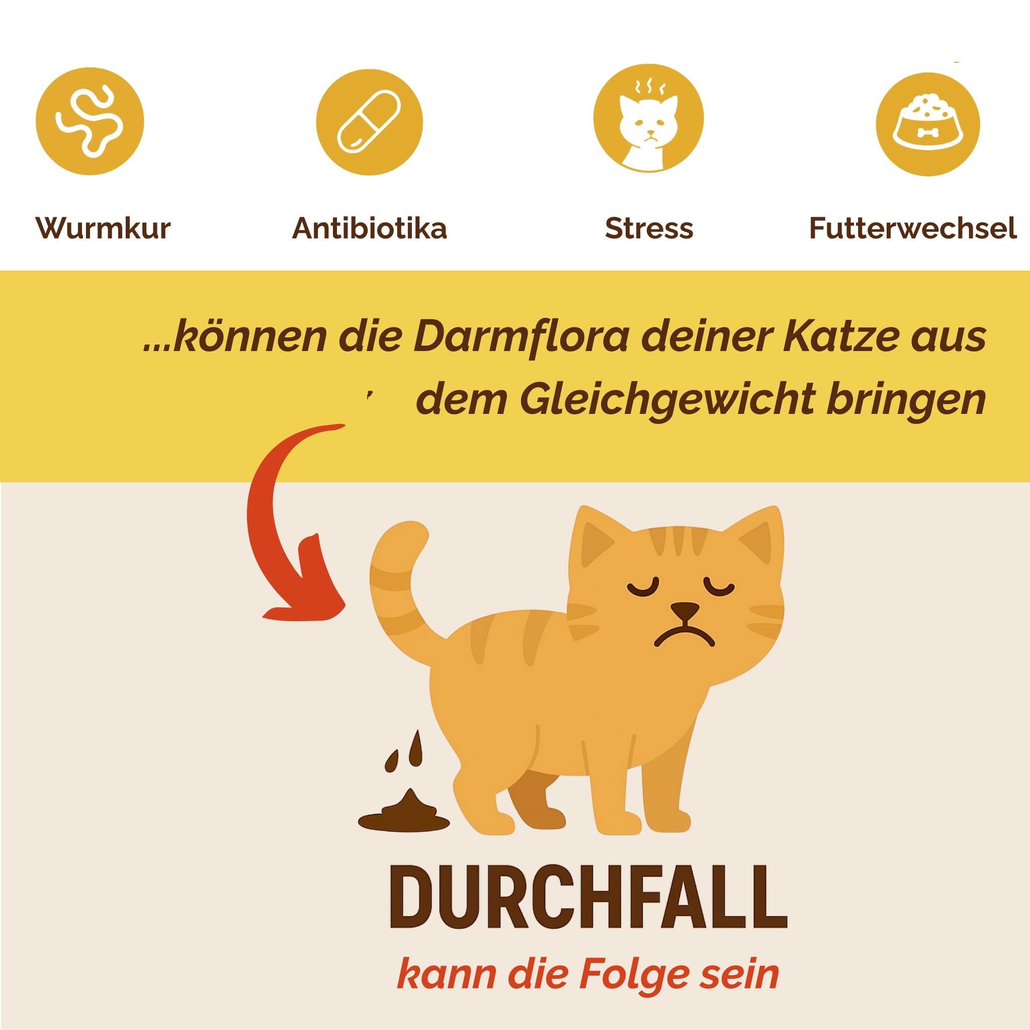 Darmpulver Katze - Durchfall und  Erbrechen Katze -Darmflora Katze aufbauen - TierVita
