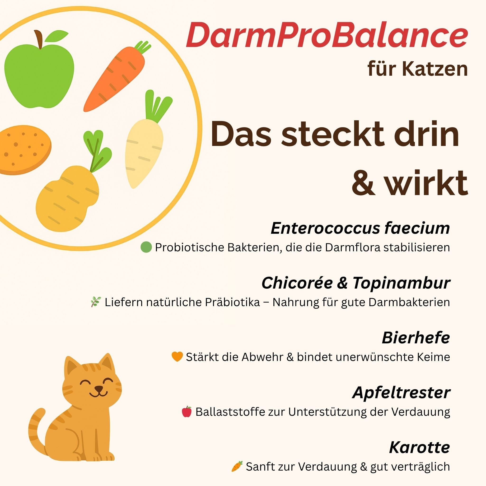 Darmpulver Katze - Durchfall und  Erbrechen Katze -Darmflora Katze aufbauen - TierVita