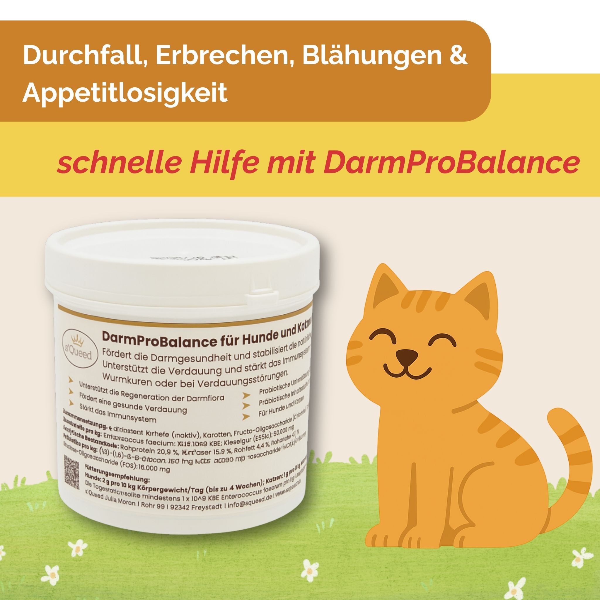 Darmpulver Katze - Durchfall und  Erbrechen Katze -Darmflora Katze aufbauen - TierVita