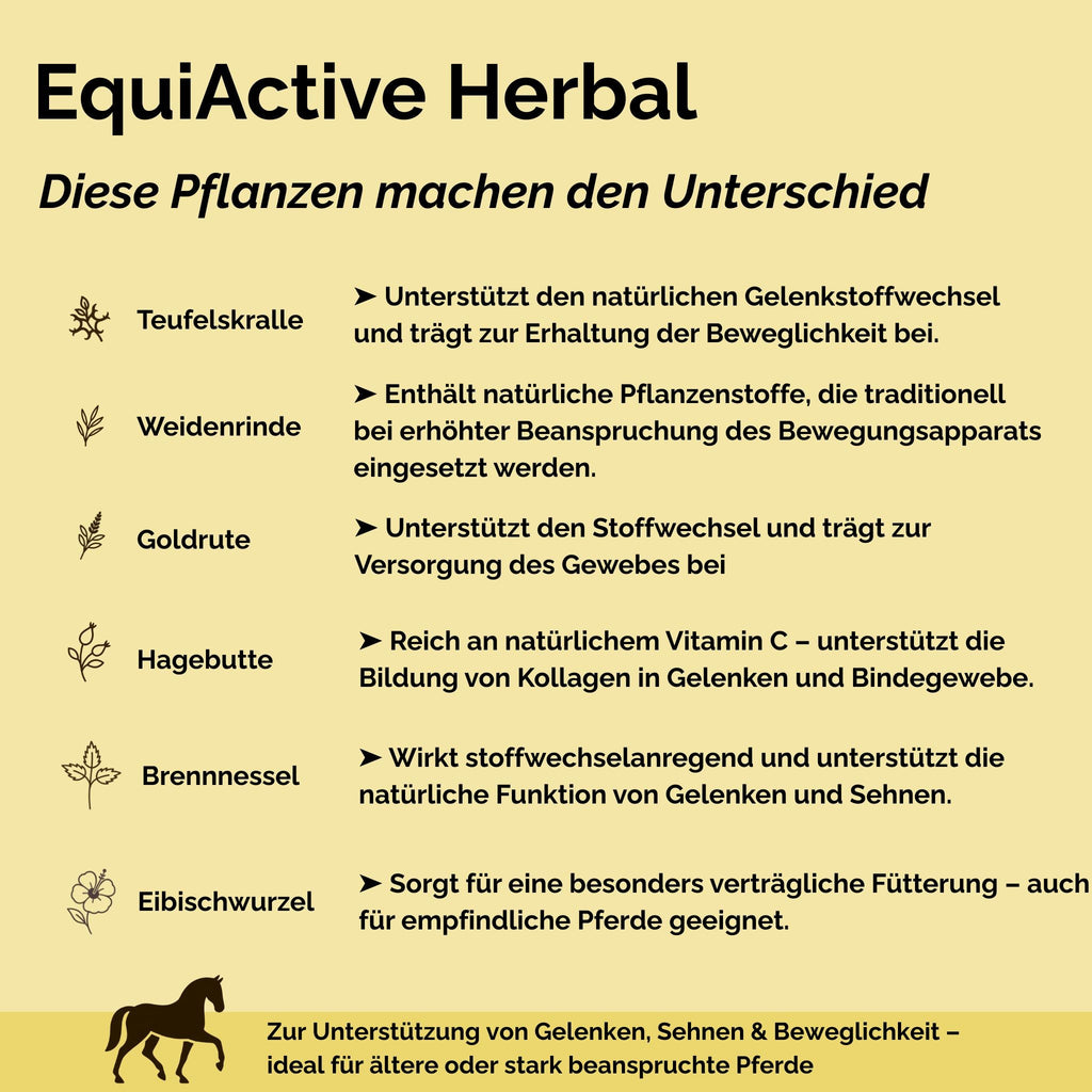 Kräutermischung EquiActive Herbal 1kg für Pferde – Beweglichkeit & Gelenke