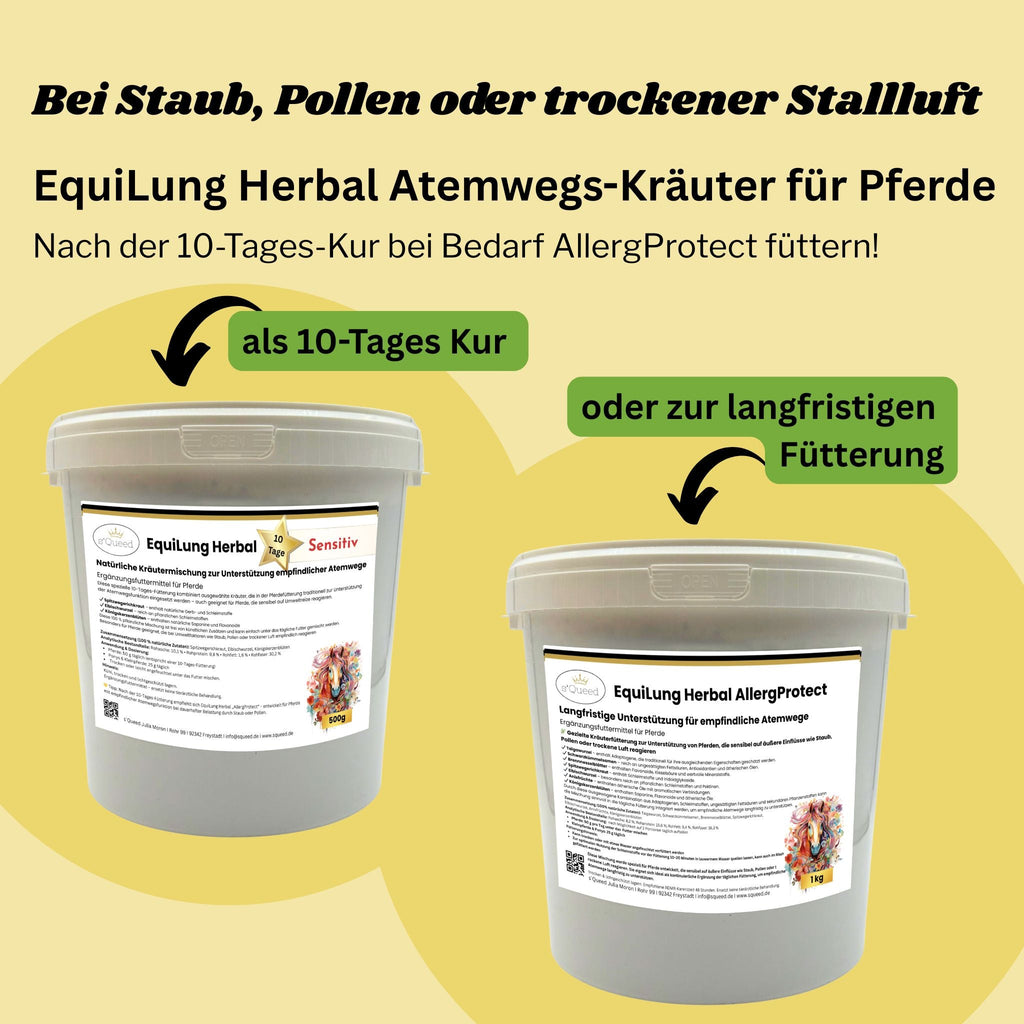 EquiLung Herbal Sensitiv – Hustenkräuter für Pferde zur Unterstützung empfindlicher Atemwege (10 Tage Fütterung) - TierVita