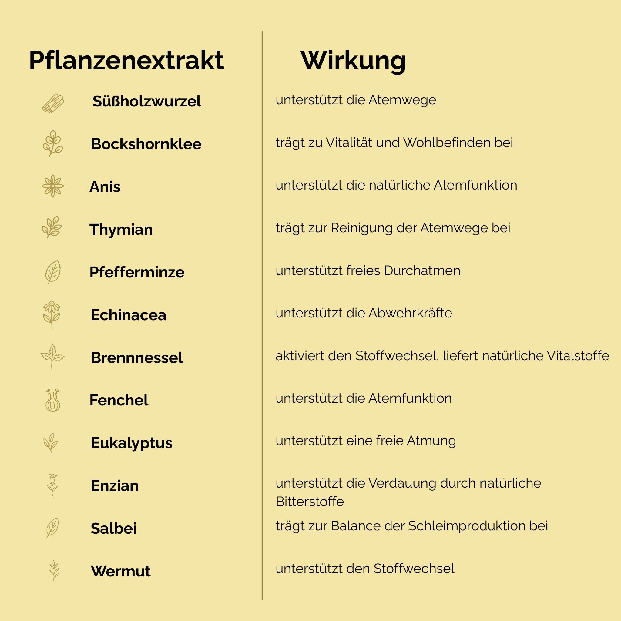 EquiLung Herbal Liquid 1000ml – flüssiges Ergänzungsfuttermittel zur Unterstützung der Atemwege bei Pferden - TierVita