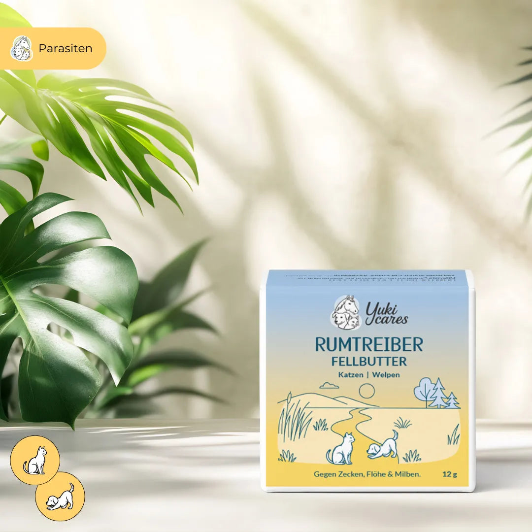 Fellbutter Rumtreiber gegen Zecken & Flöhe