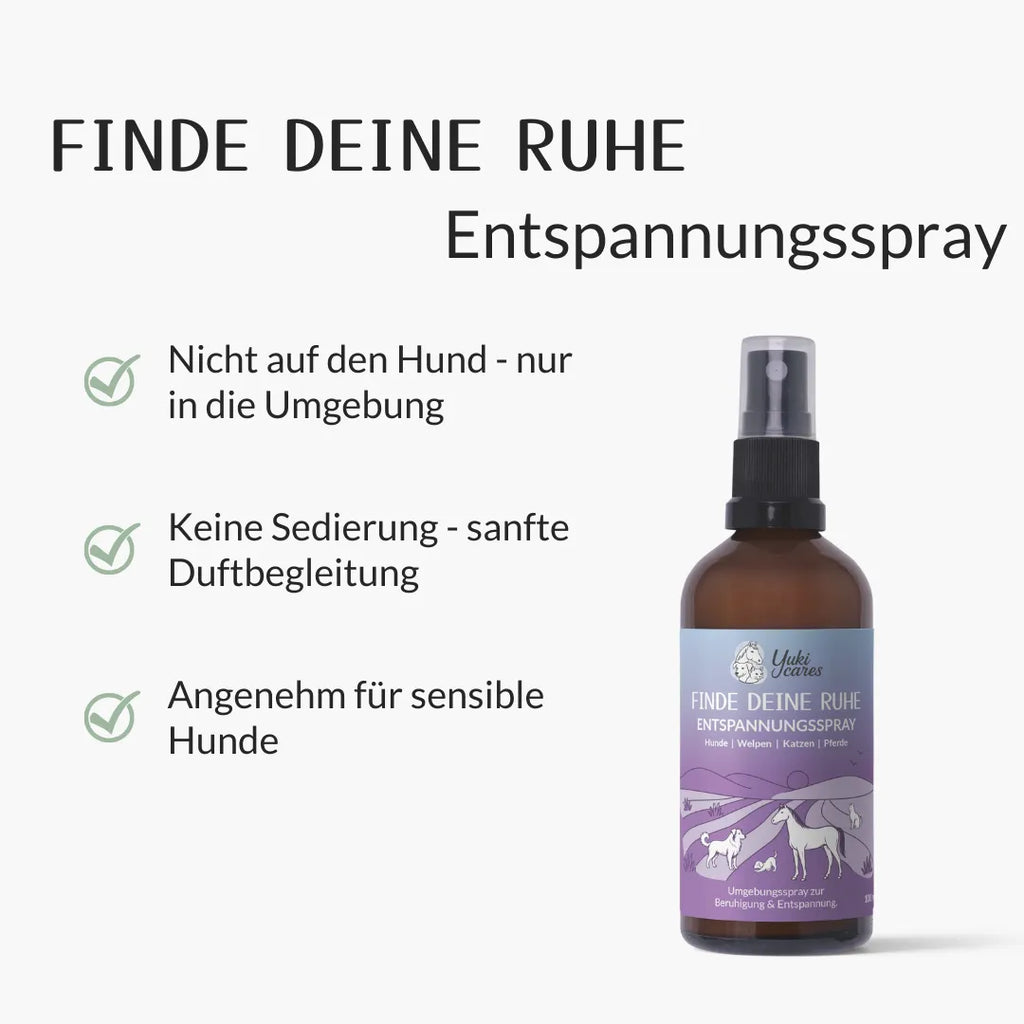 Entspannungsspray Cool down 100ml