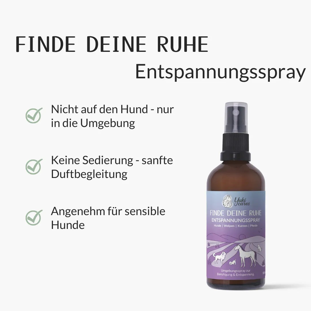 Entspannungsspray Cool down 100ml