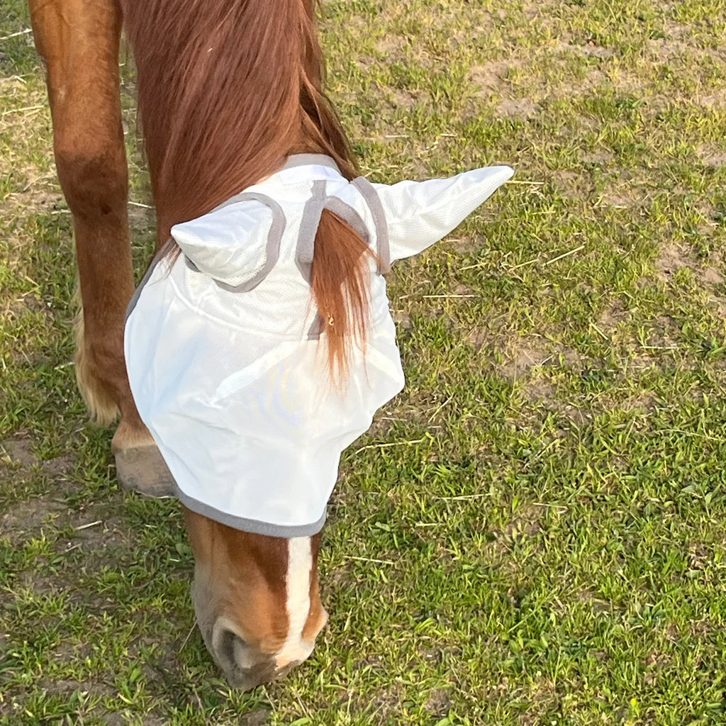 Pferd mit weißer Fliegenmaske mit Ohrenschutz auf einer Wiese