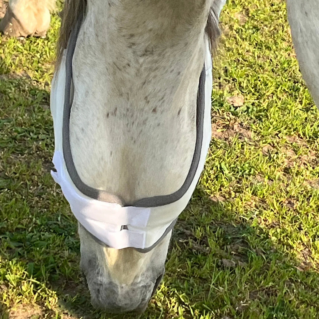 Pferd mit weißer Fliegenmaske auf Wiese, Insektenschutz für Pferde
