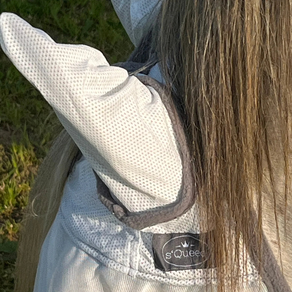 Pferd mit hellgrauer Fliegenmaske für Ohren- und Augenschutz auf der Weide