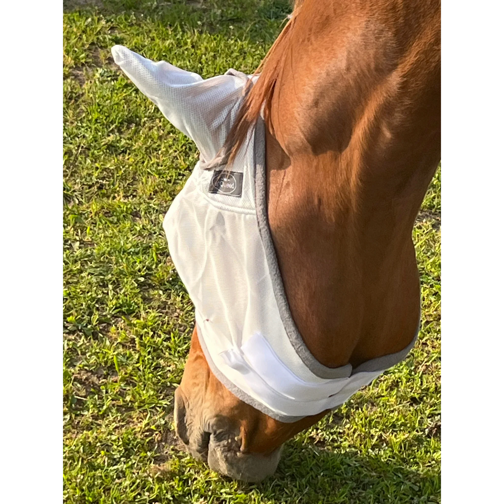 Pferd mit weißer Fliegenmaske mit Ohrenschutz auf Weide, Tierbedarf Zubehör