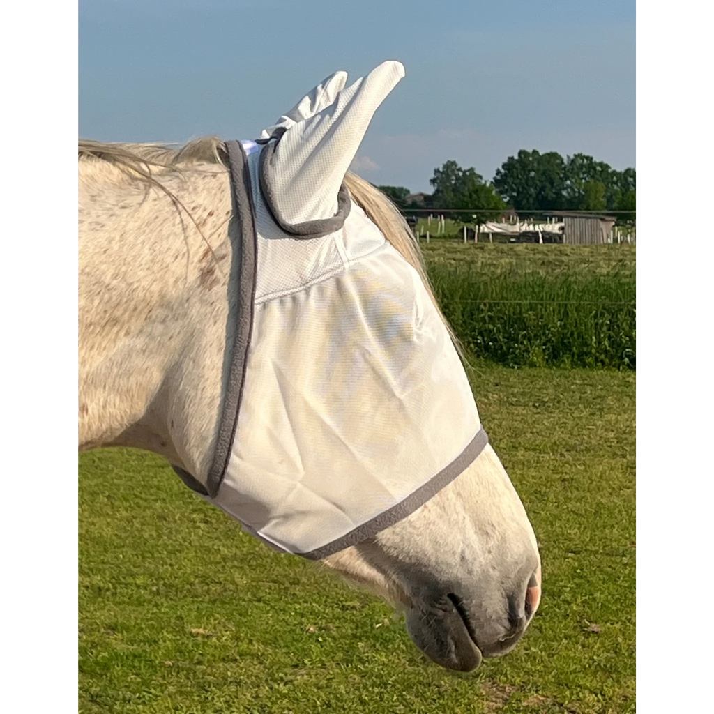 Pferd mit hellgrauer Fliegenmaske auf Koppel, Insektenschutz für Pferdeohren und Augen