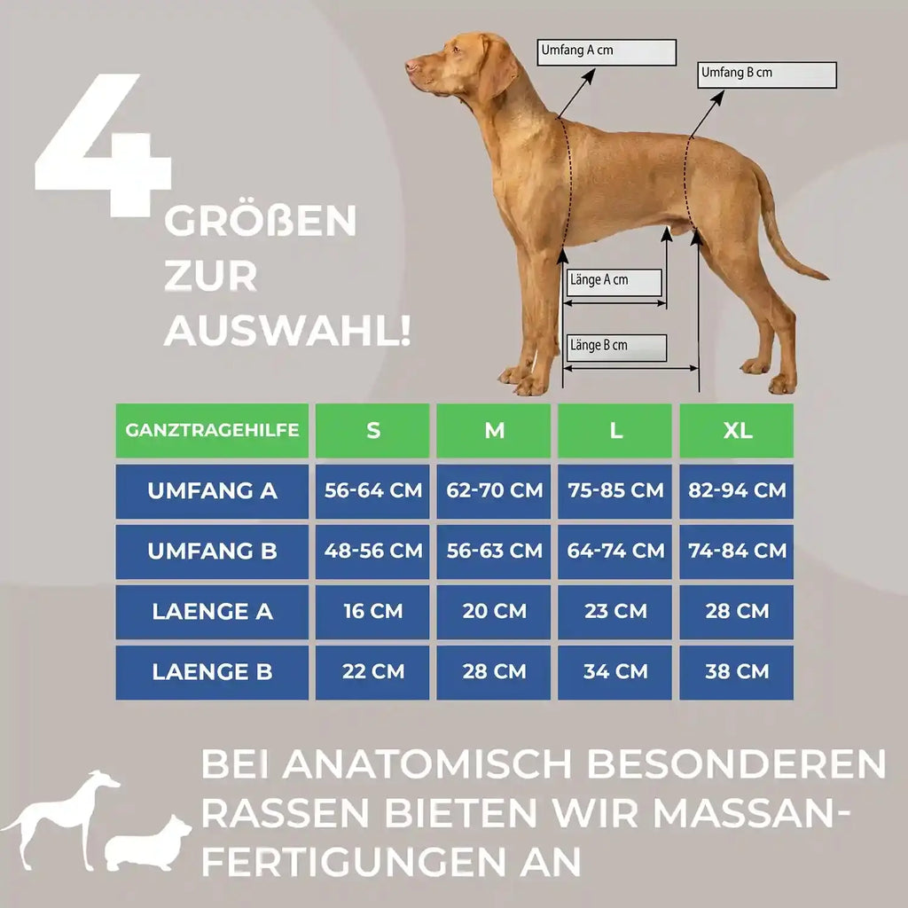 Durchgehende Tragehilfe für Hunde