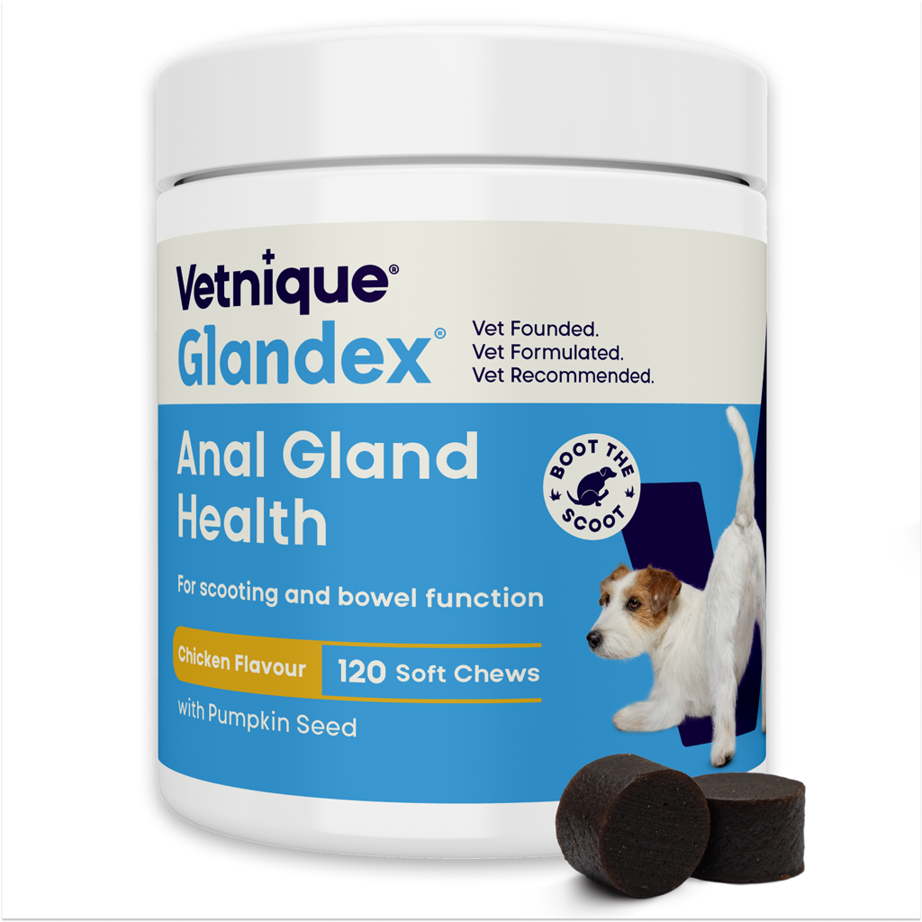 Glandex Soft Chews Huhn – 120 Kausnacks (480 g) für Hunde