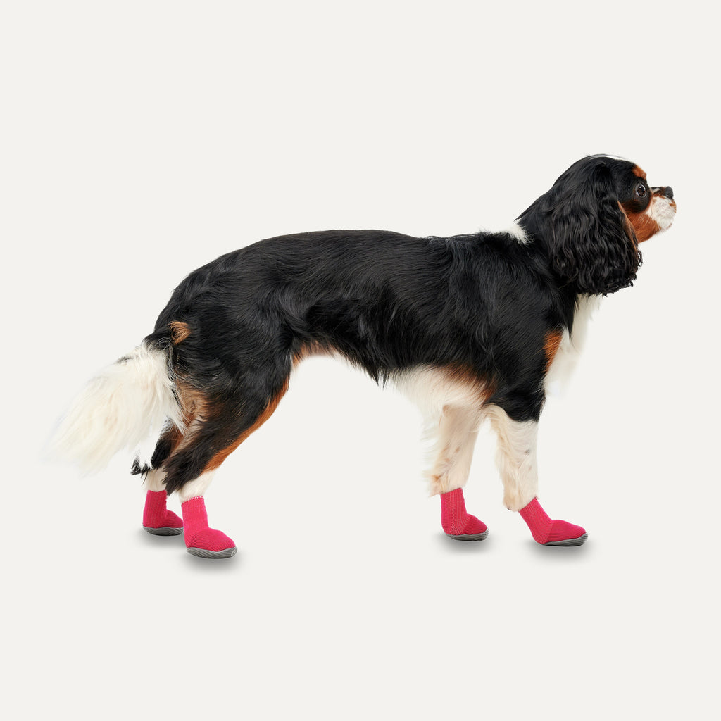 Goo-eez Dog Boots Ultras 2 Per Pack L Rot/Schwarz