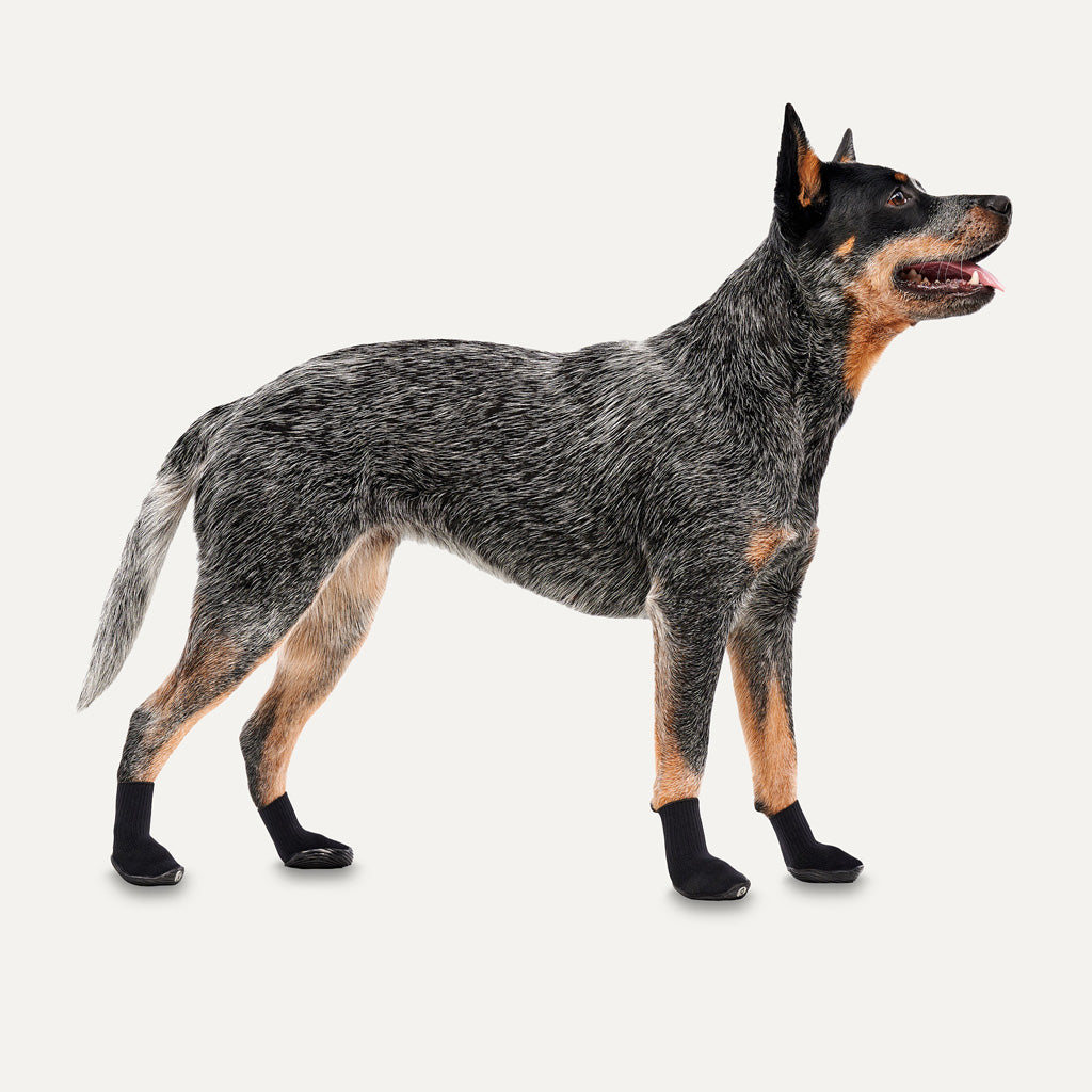 Goo-eez Dog Boots Lites 4 Per Pack M Schwarz