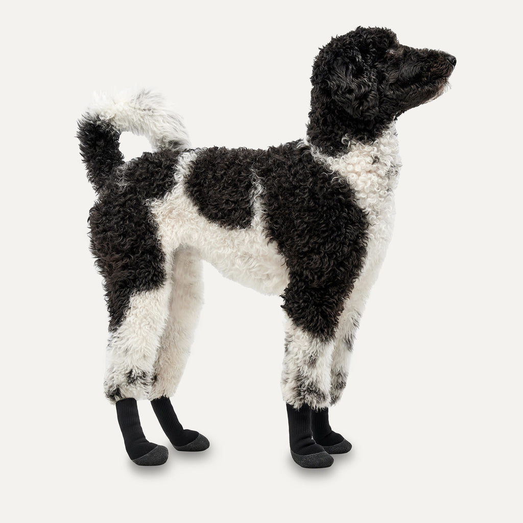 Goo-eez Dog Boots Lites 4 Per Pack XL Camo/Schwarz