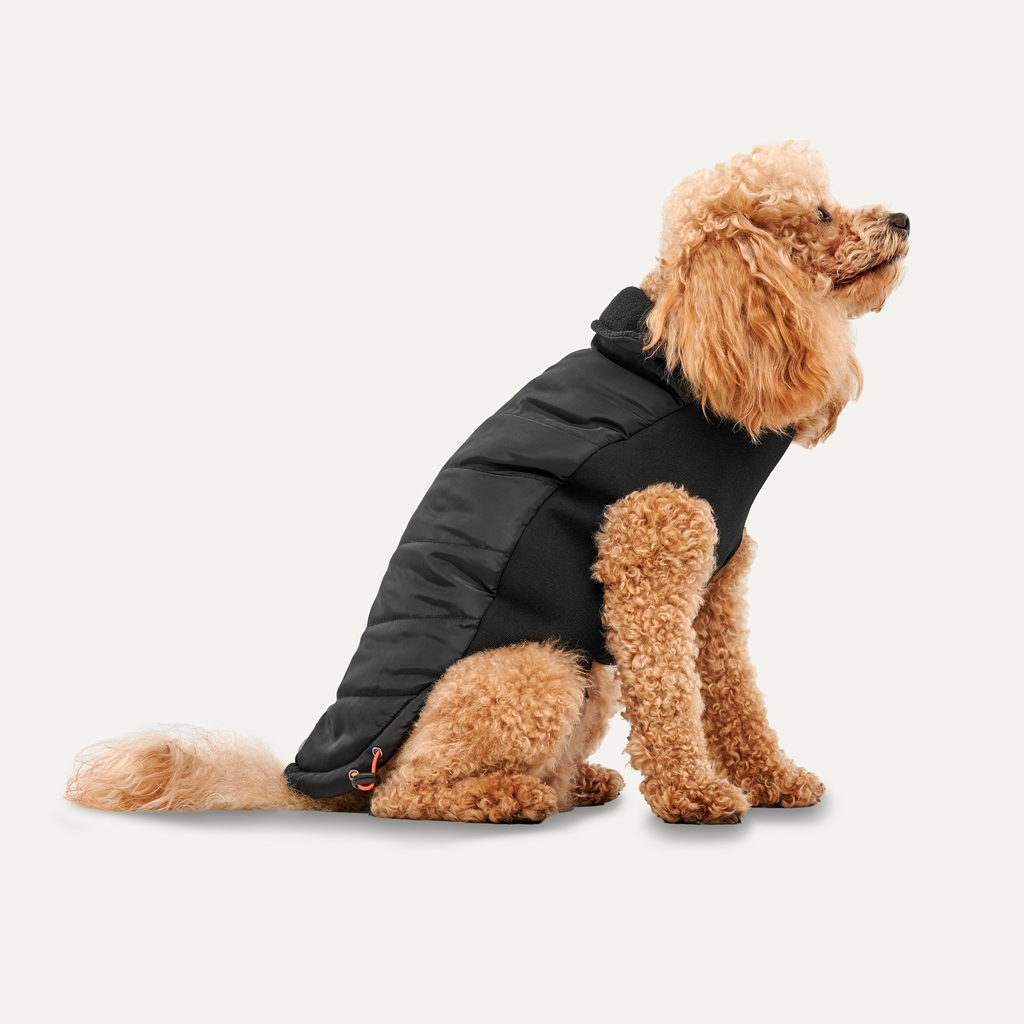 Goo-eez Mock Neck Signature Wrap Jacket XS Schwarz