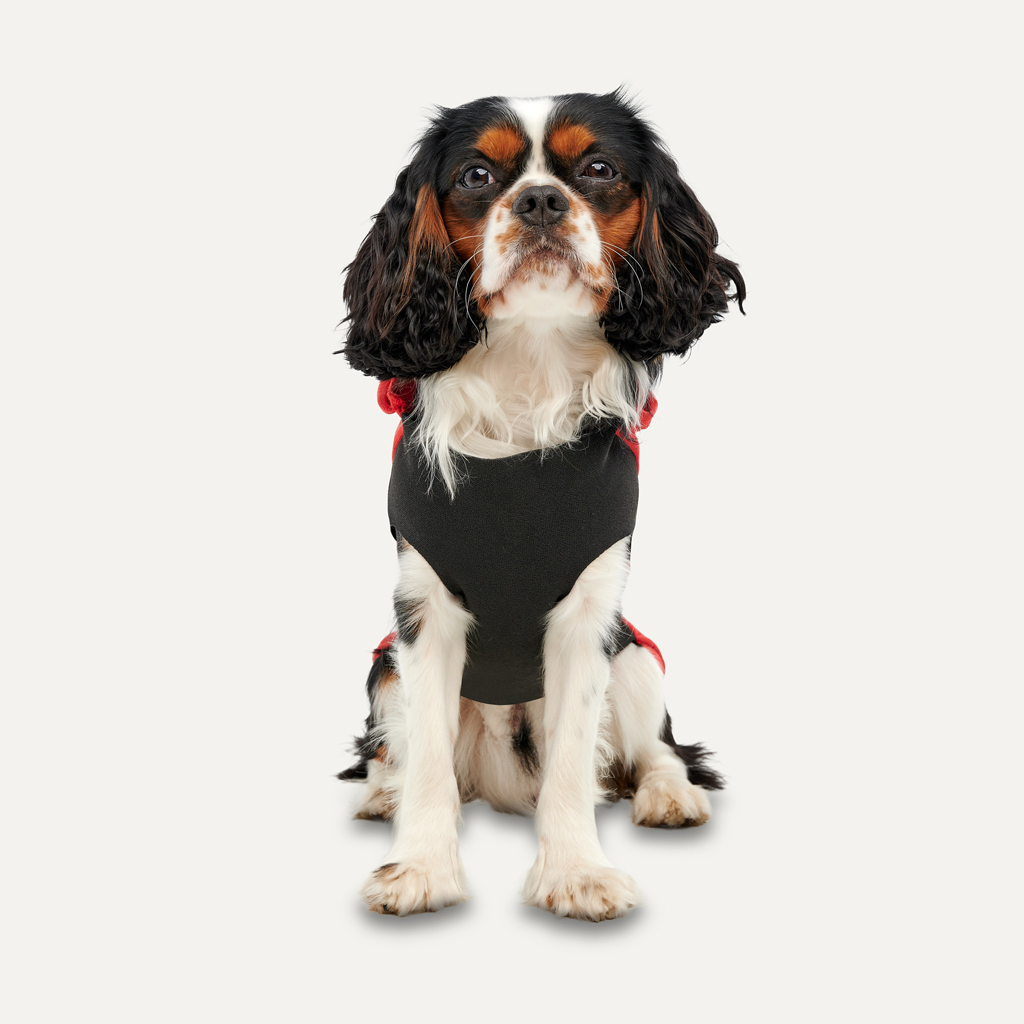 Goo-eez Kangaroo Fleece Hoodie L Rot/Schwarz