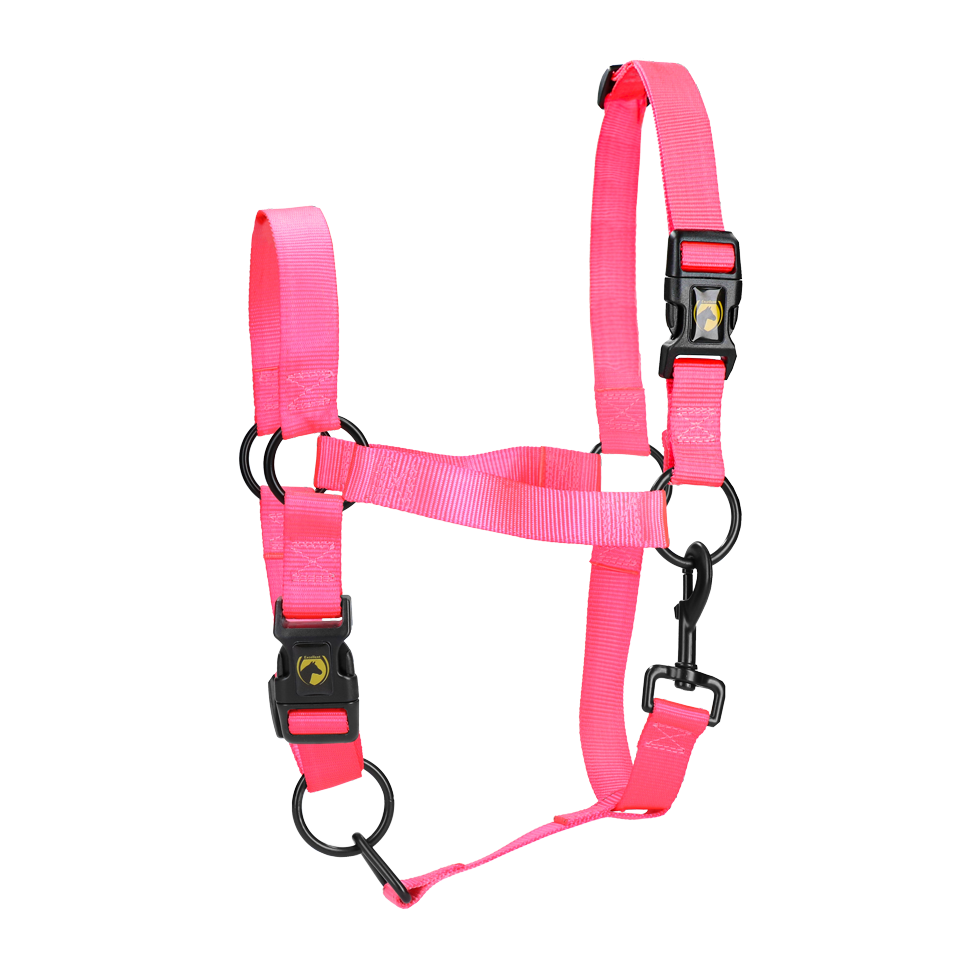 Excellent Essential Halfter Rosa S