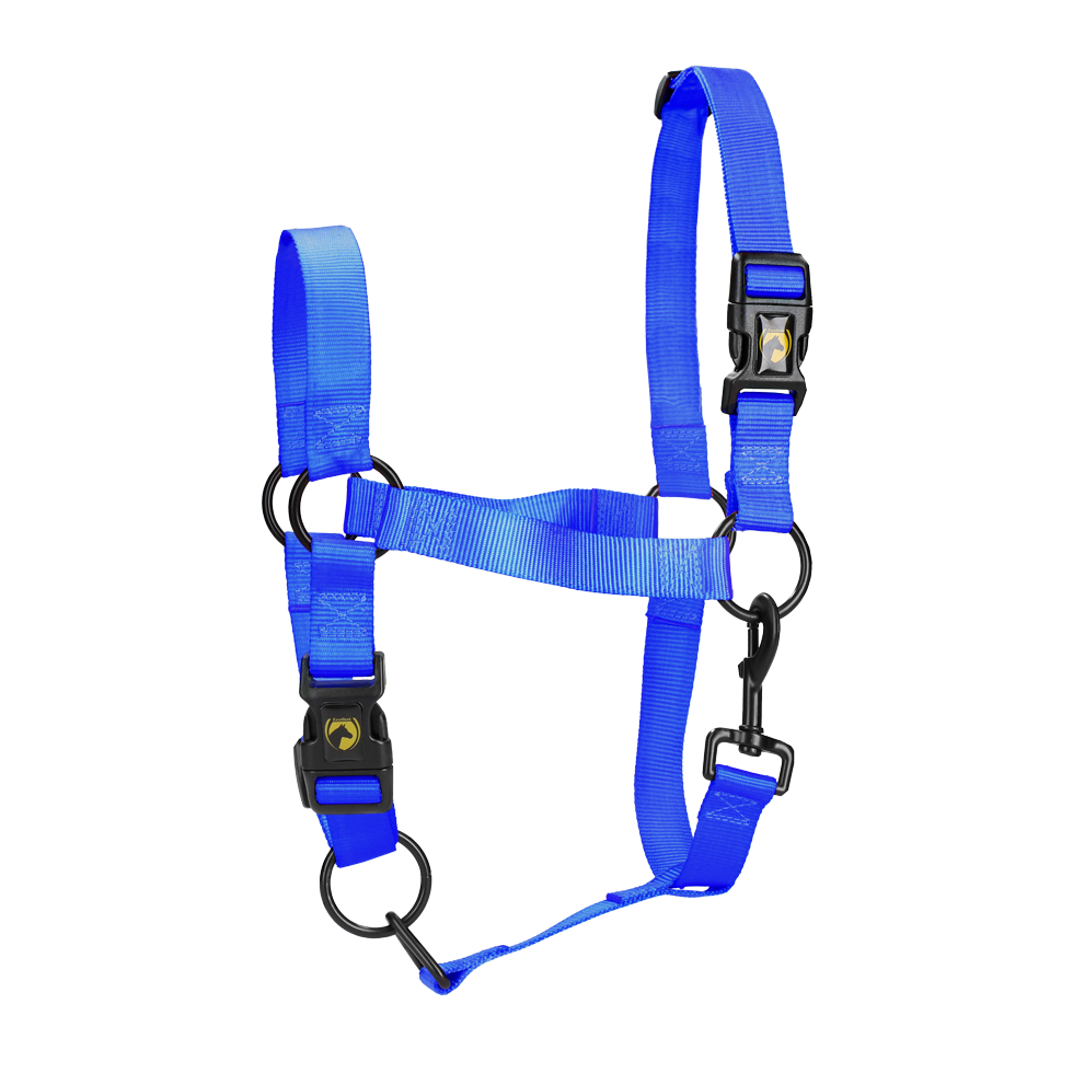 Excellent Essential Halfter Blau M