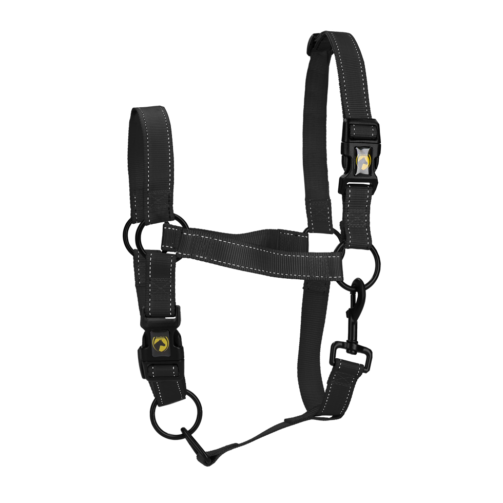 Excellent Premium Halfter Schwarz S